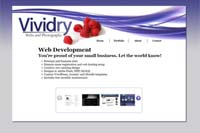Vividry Webs and Photography