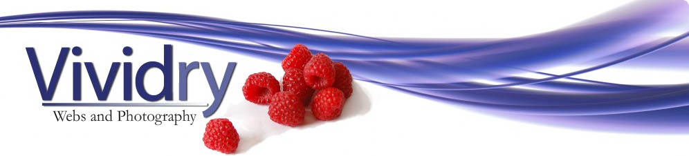 Vividry Webs and Photography header image